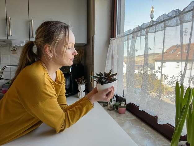 Как правильно установить окна для максимального сохранения тепла