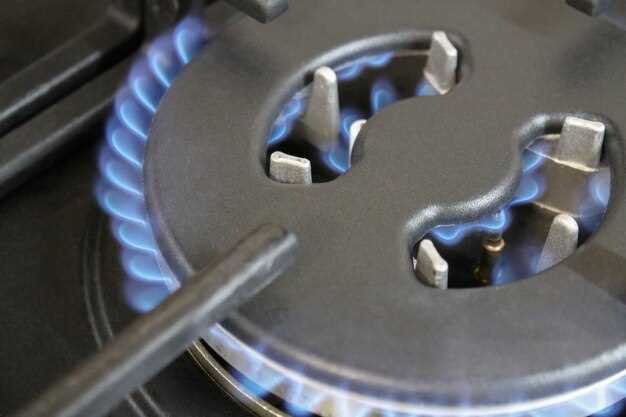 Типы промышленных горелок: газовые, жидкотопливные и комбинированные
